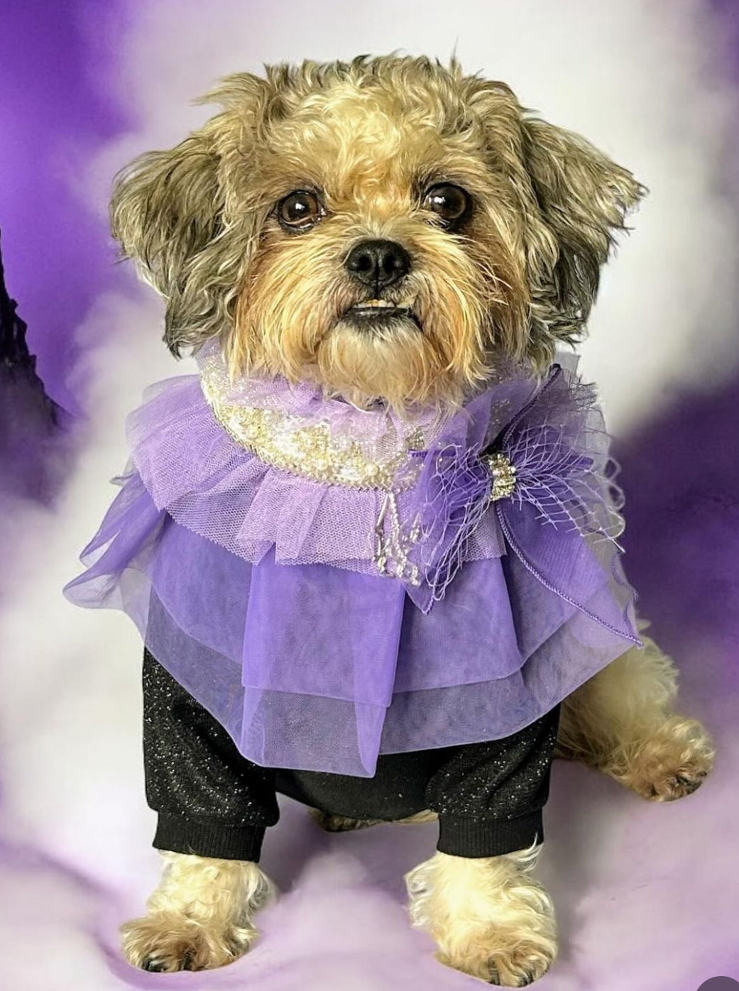 Royal Birthday: La Belle Vie