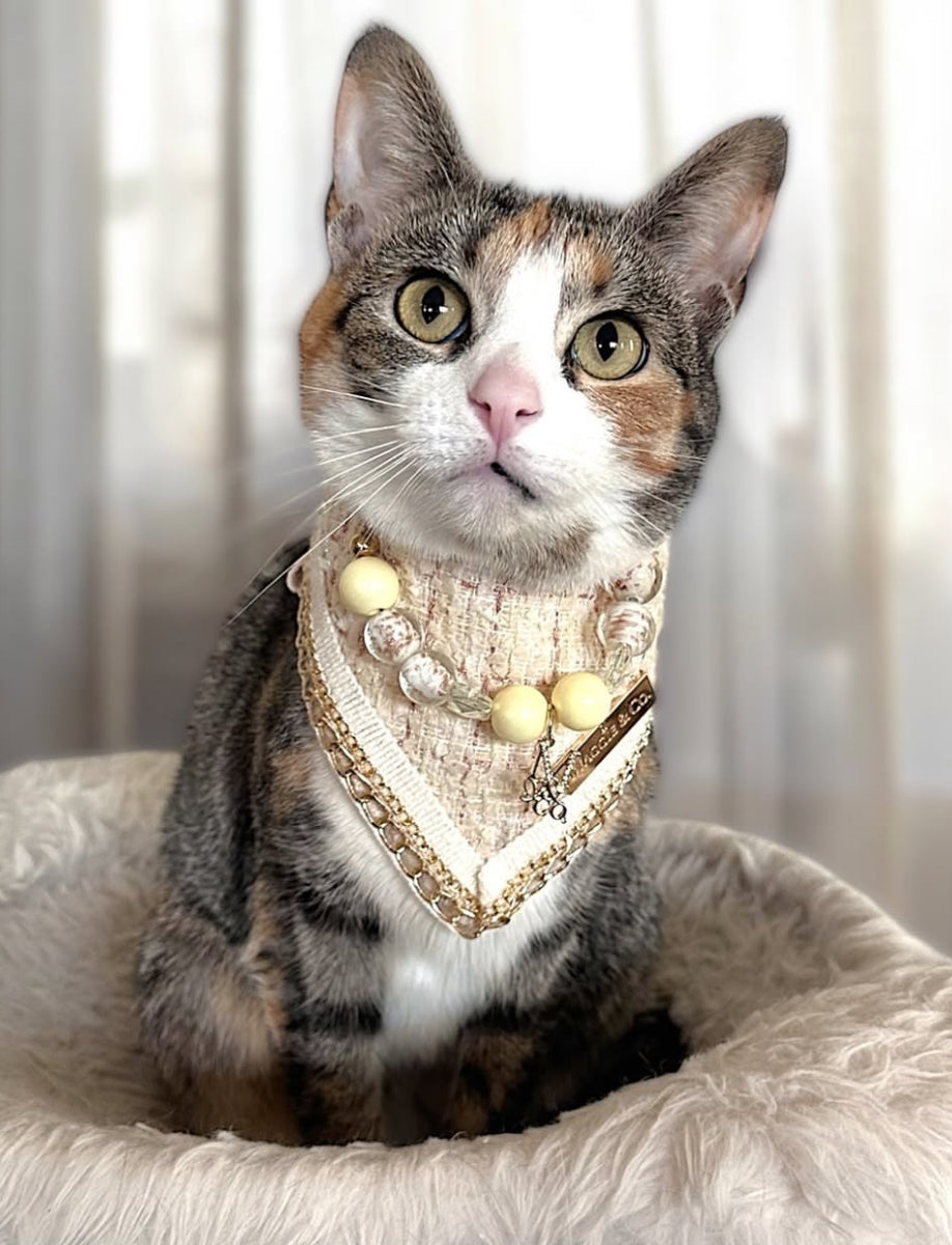 Necklace: Sparkle in Sunshine