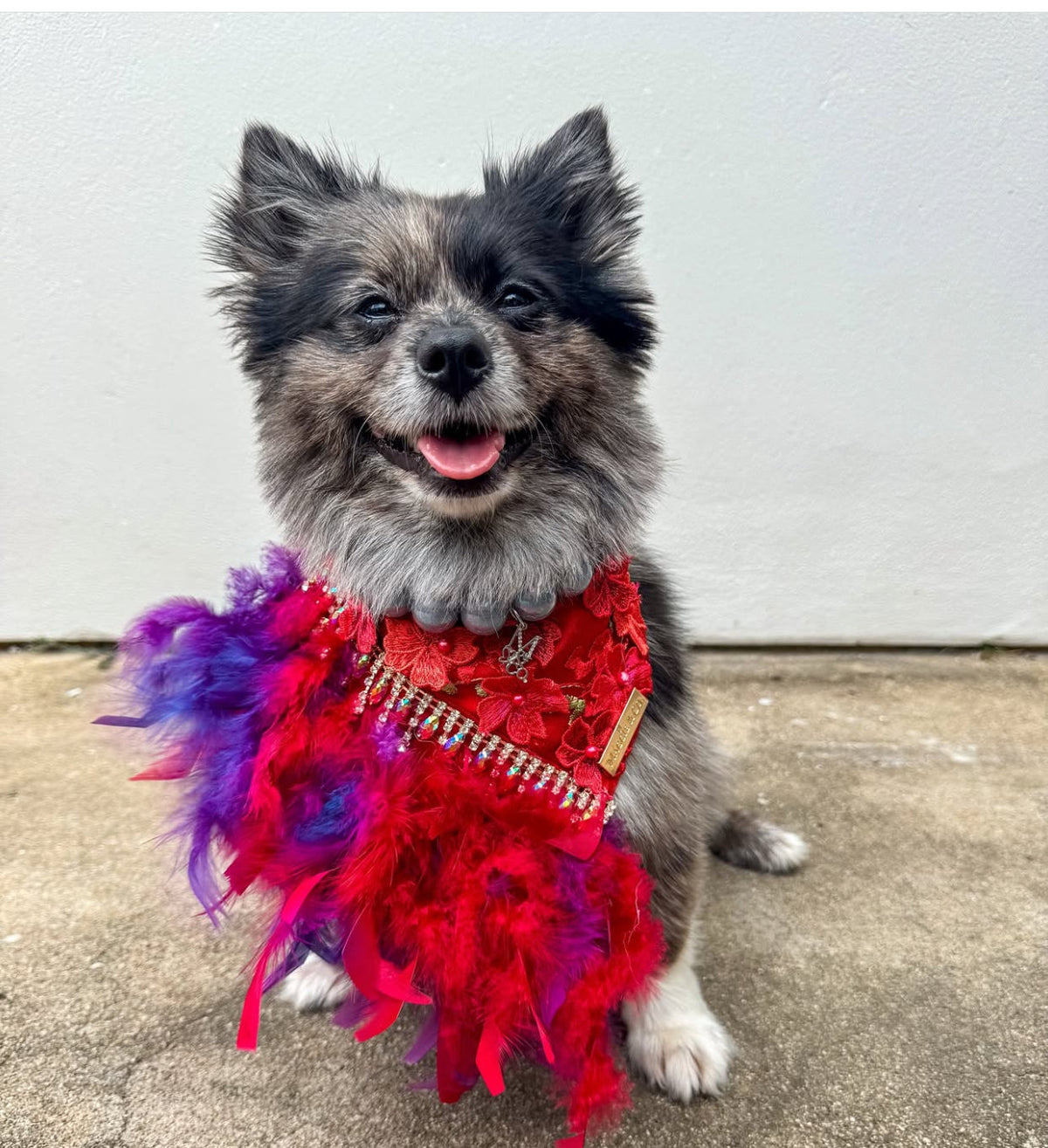 Formal Affair: Cheers (with feathers)