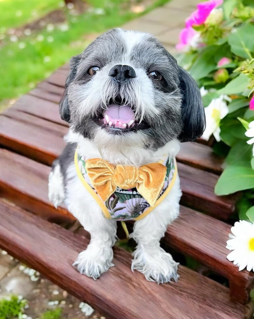 Into the Wild Reversible Harness