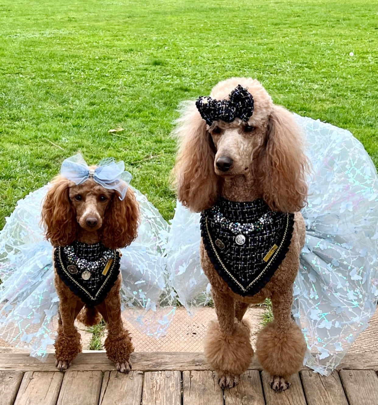 Special Edition: The Lincoln