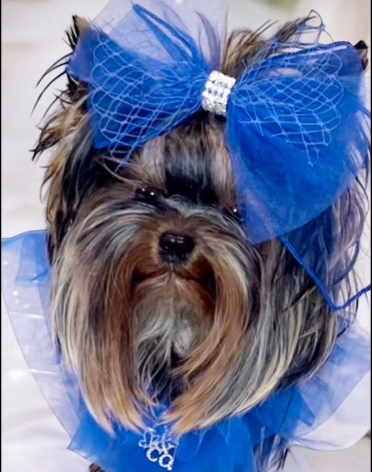 Royal Birthday: Kensington