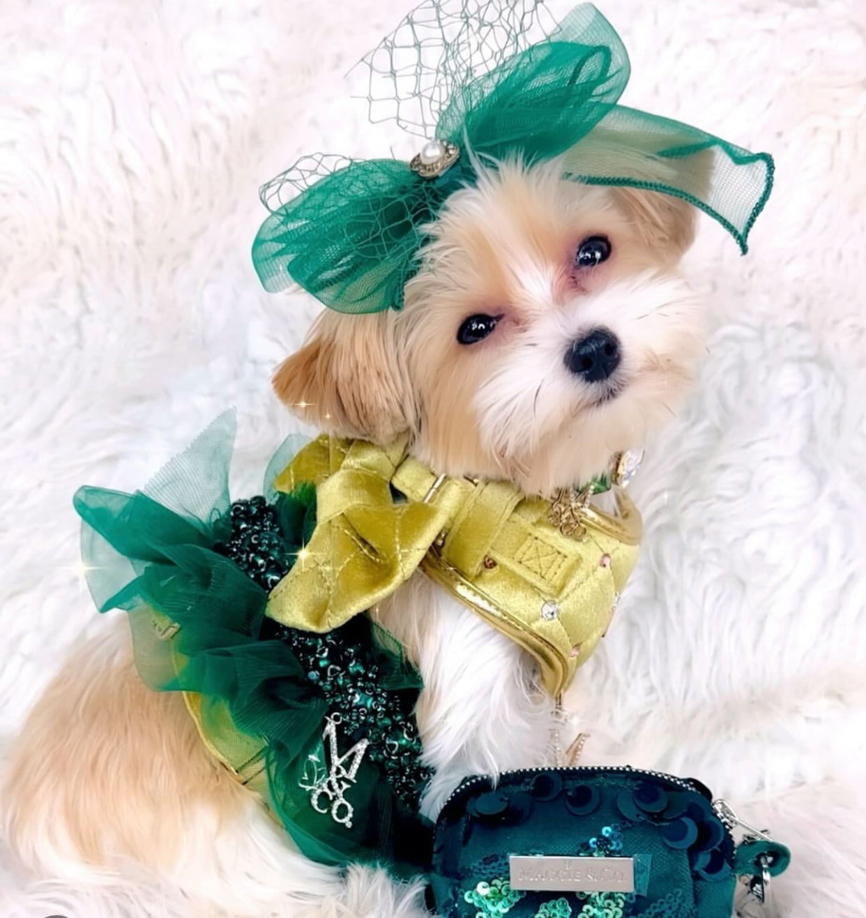 Signature: Green with Envy