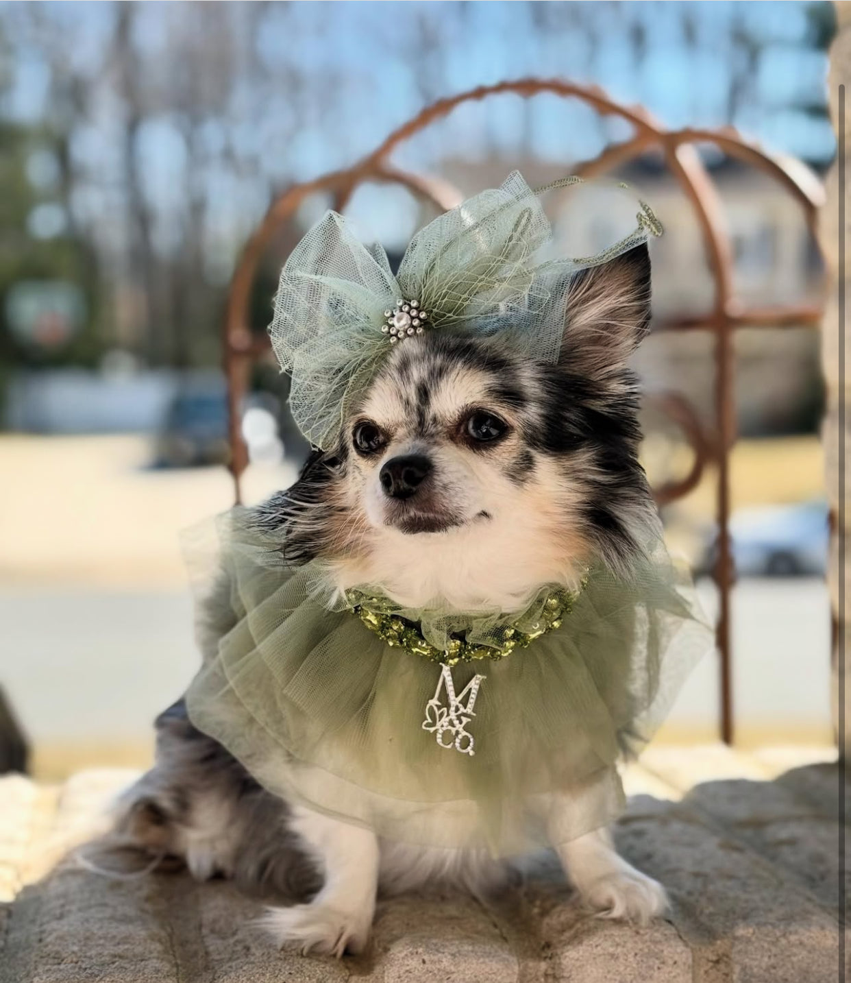 Signature: Fairy Kisses