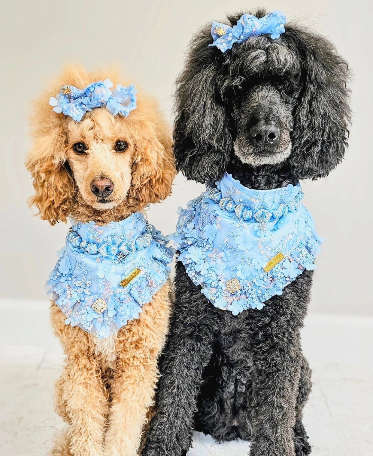 Celebrations II: The Josie