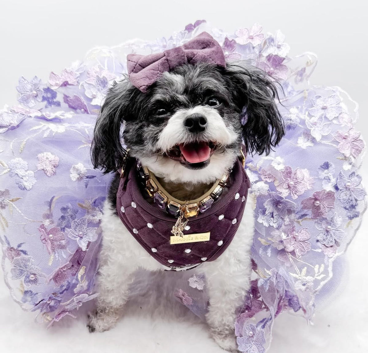 Shades of Lavender Tutu