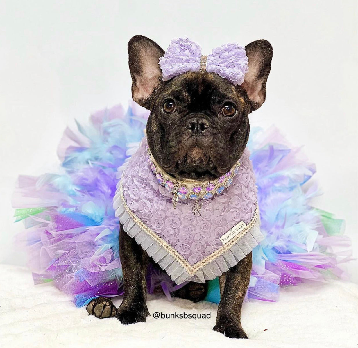 Forever Bliss: The Clara