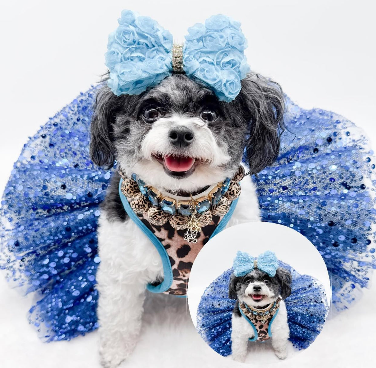 Exotic Reversible Harness