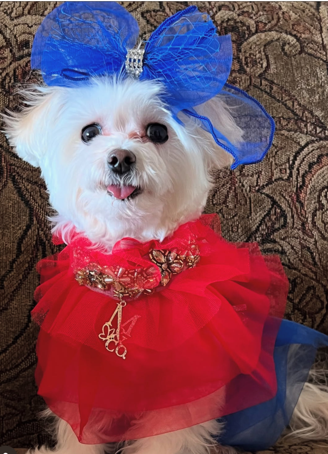 Royal Birthday: My Love