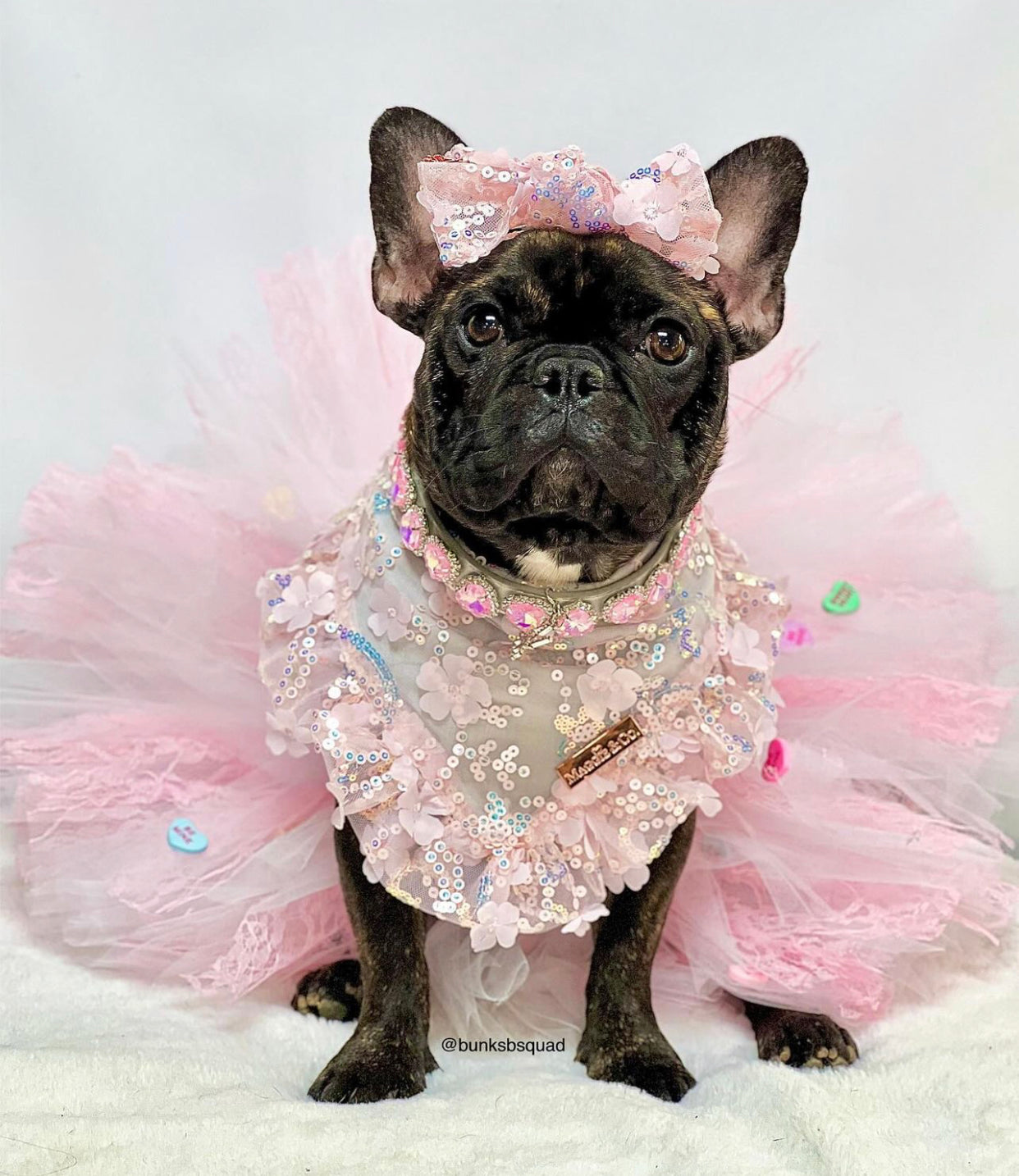 Celebrations: The Delilah Set