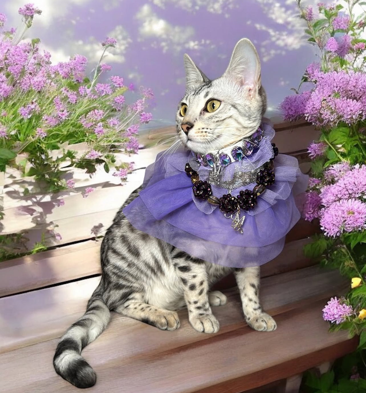 Royal Birthday: La Belle Vie