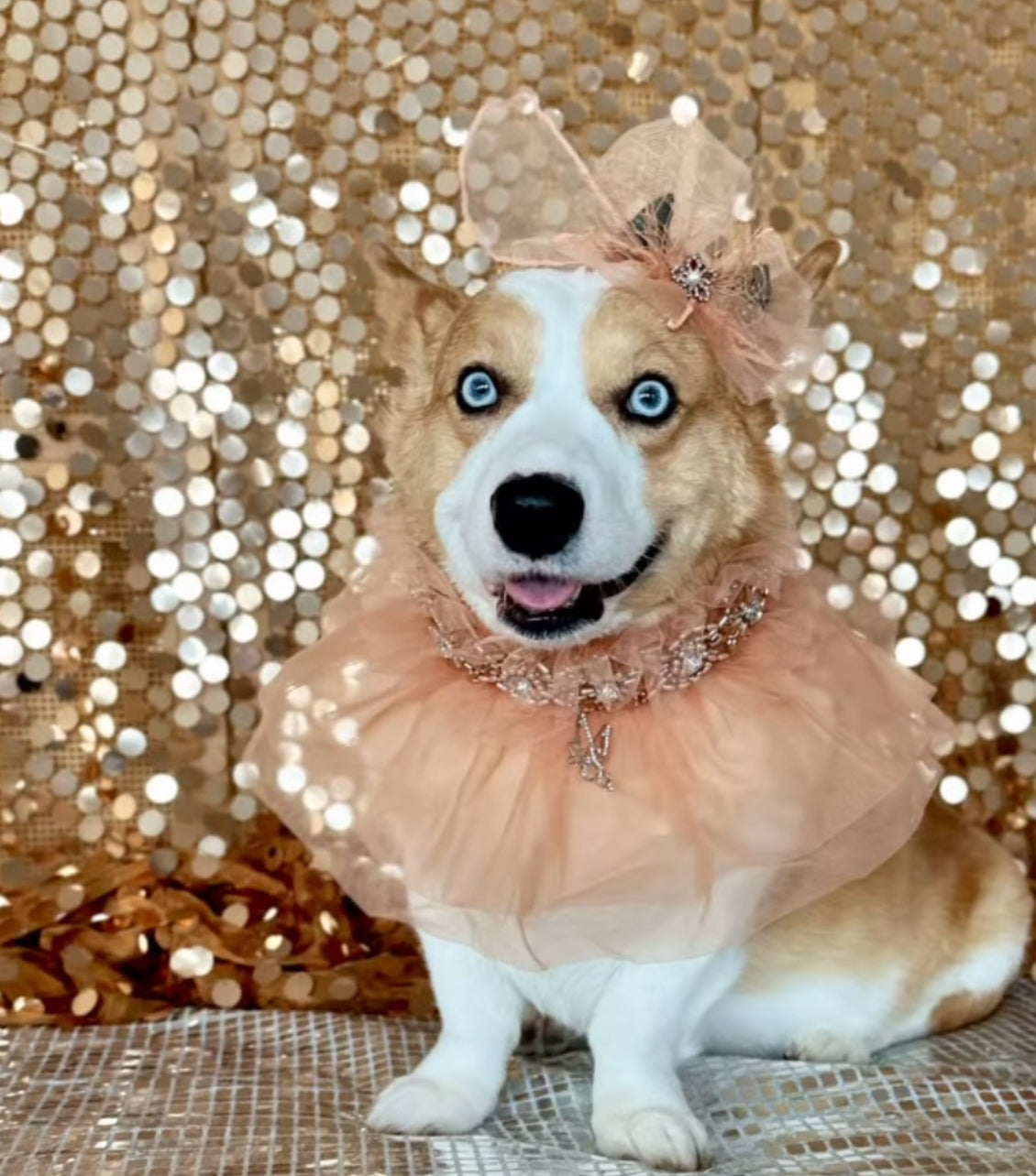 Signature: The Diana