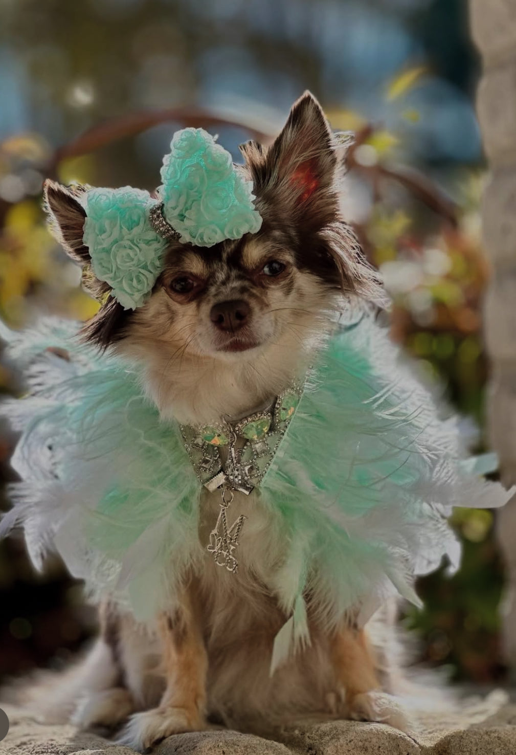 Fairytale Feathers: Prince Charming BB (pre-order)