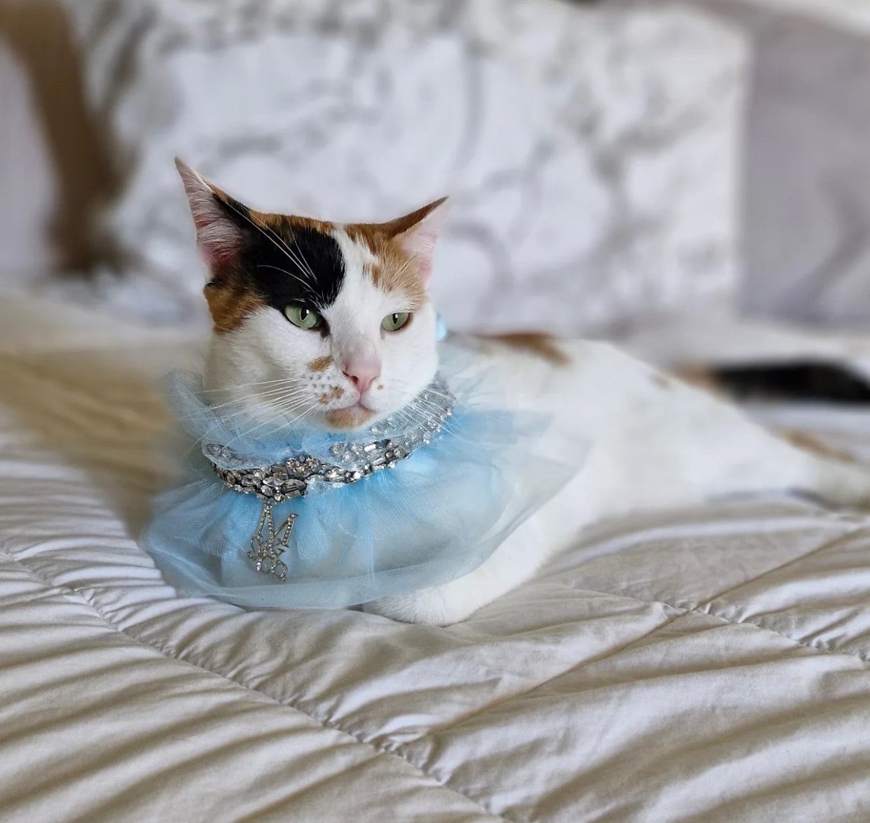 Signature: Winter Fairy