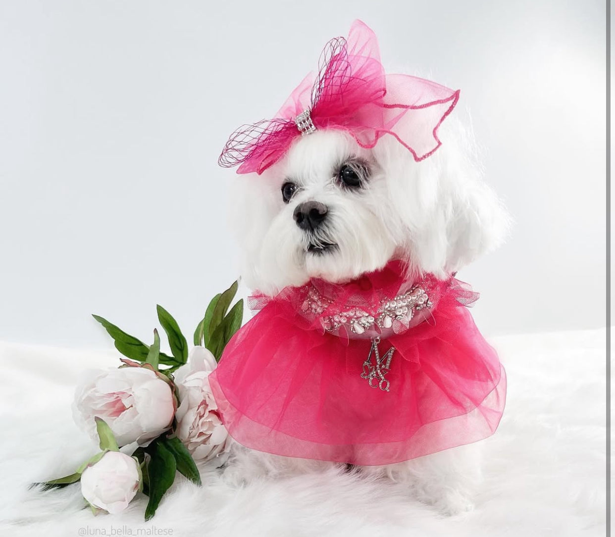 Royal Birthday: Love Story