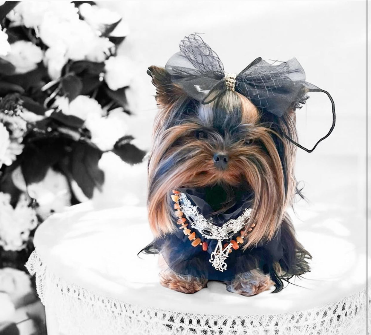 Whimsical Wedding: Imperial