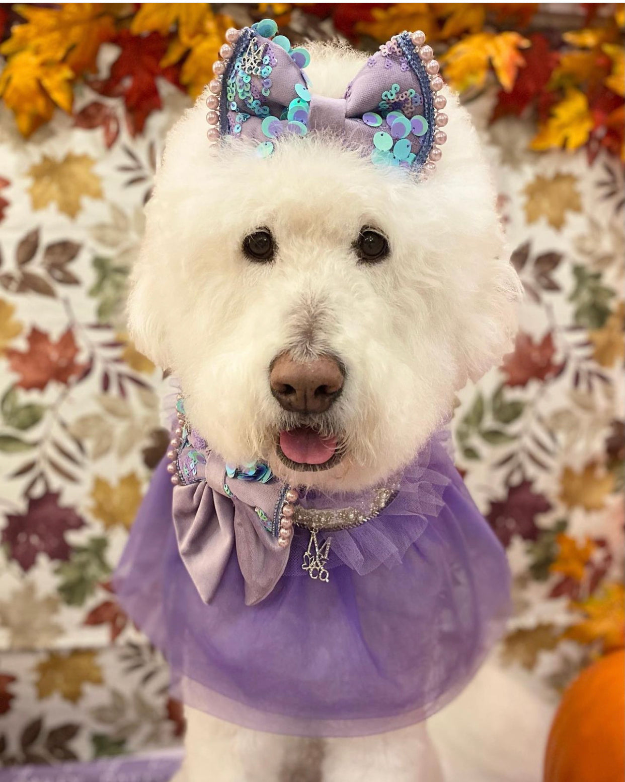 Royal Birthday: La Belle Vie