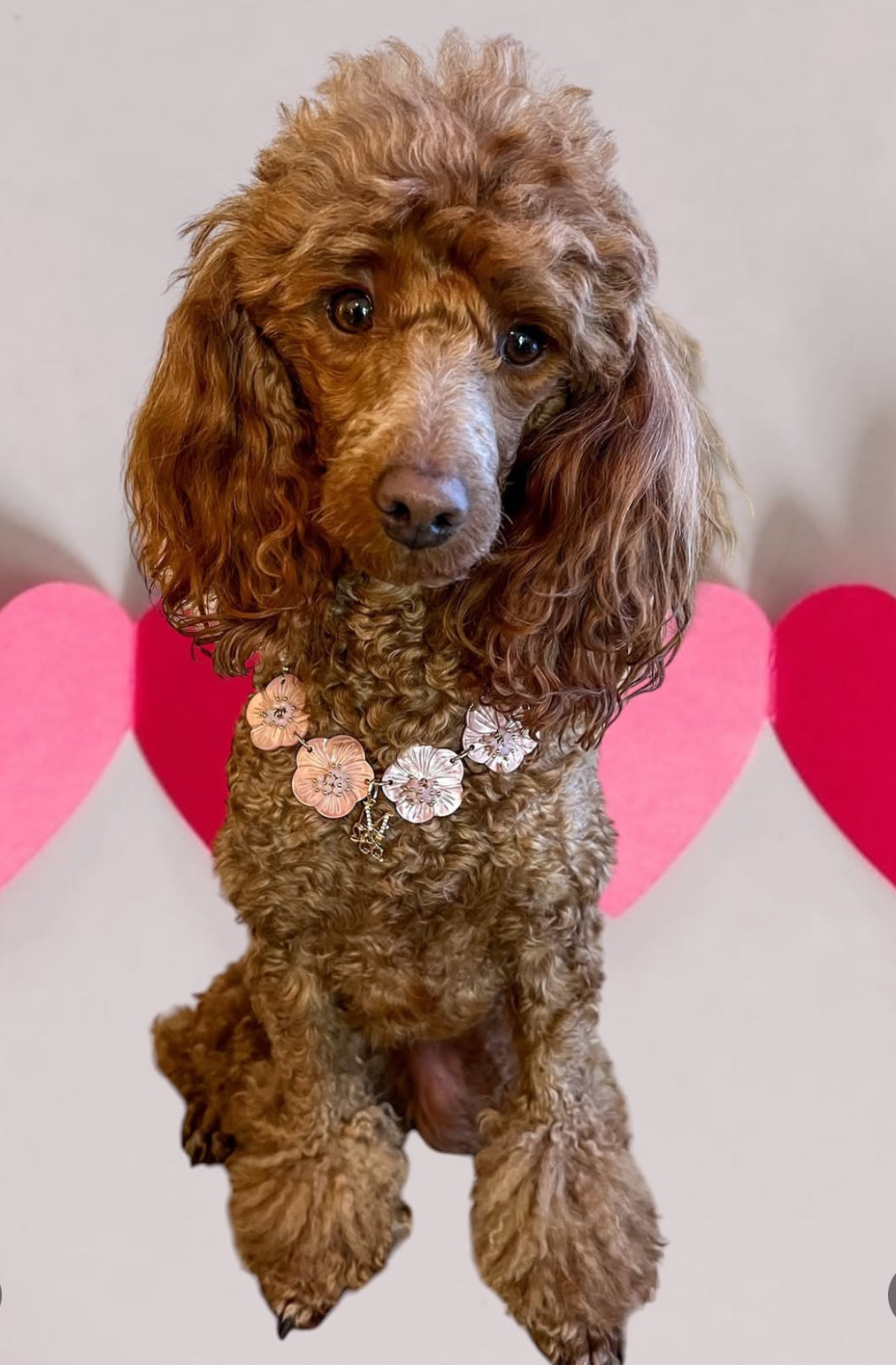 Signature Necklace: The Rosy