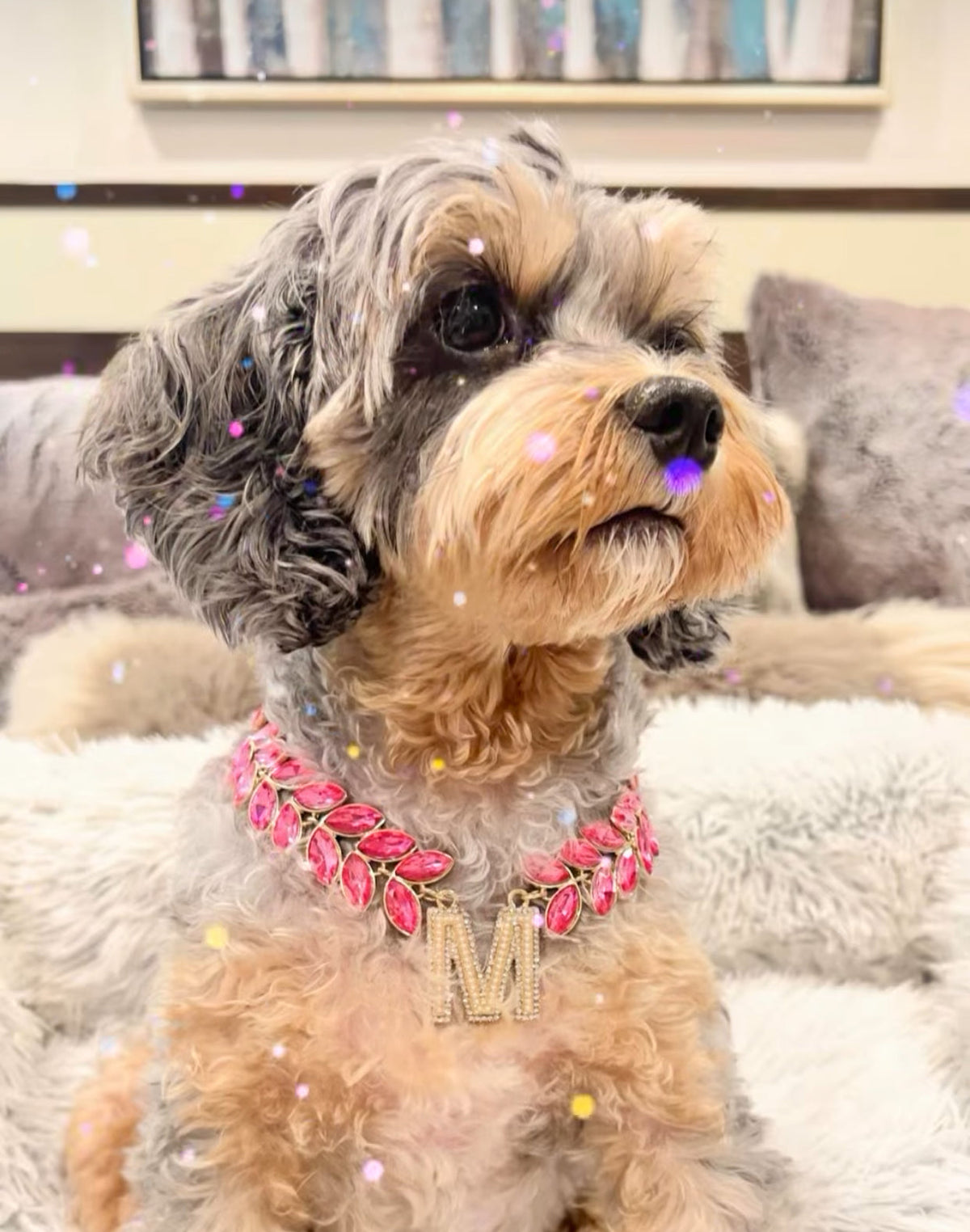 The Shanon Necklace