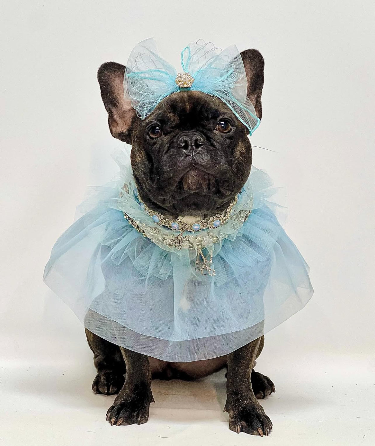 Signature: Winter Fairy