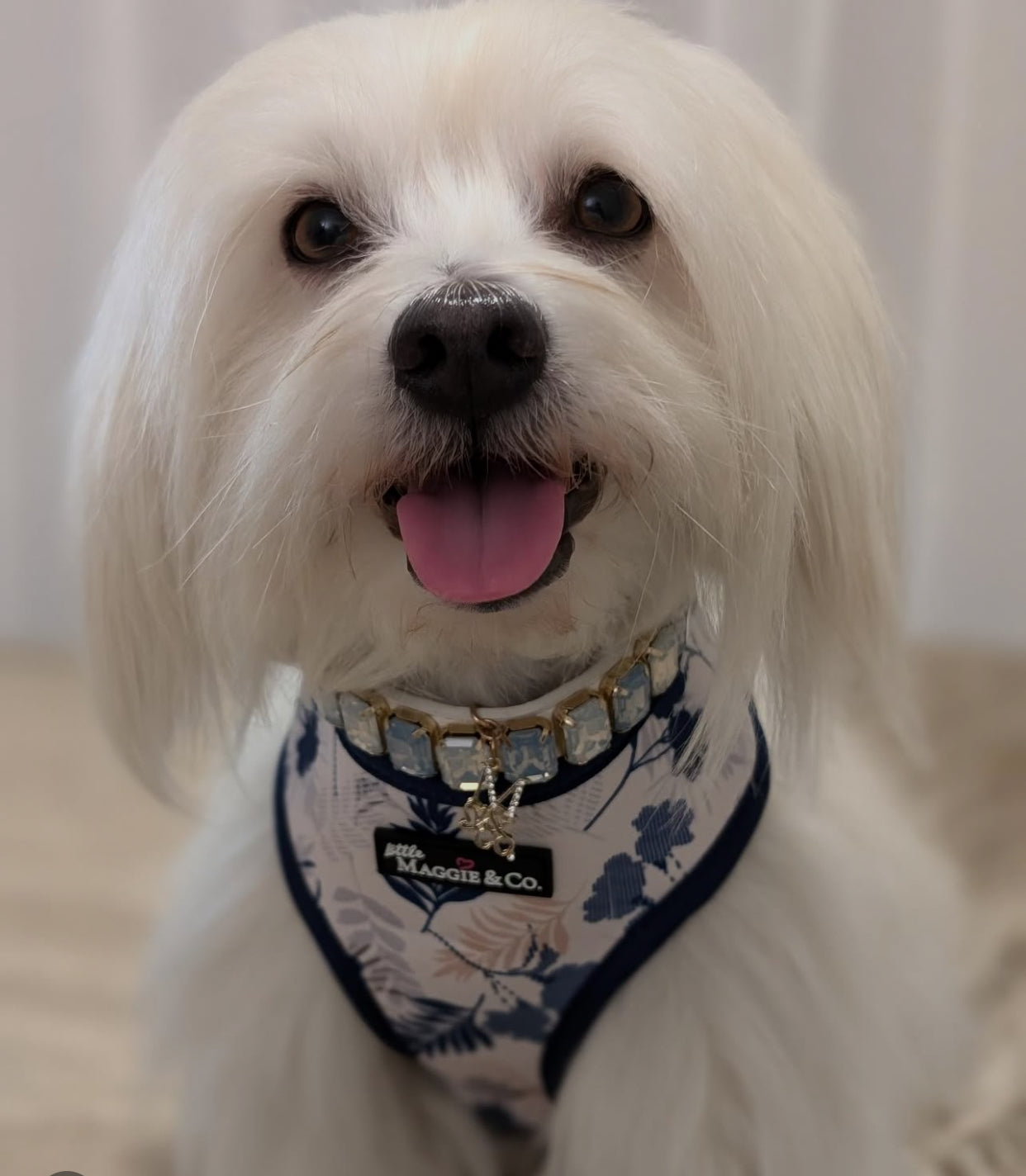 Breezy Reversible Harness