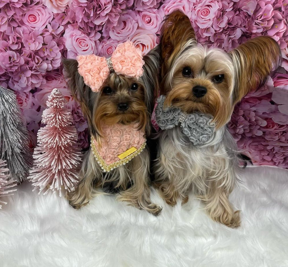 Forever Bliss: Pretty in Pink