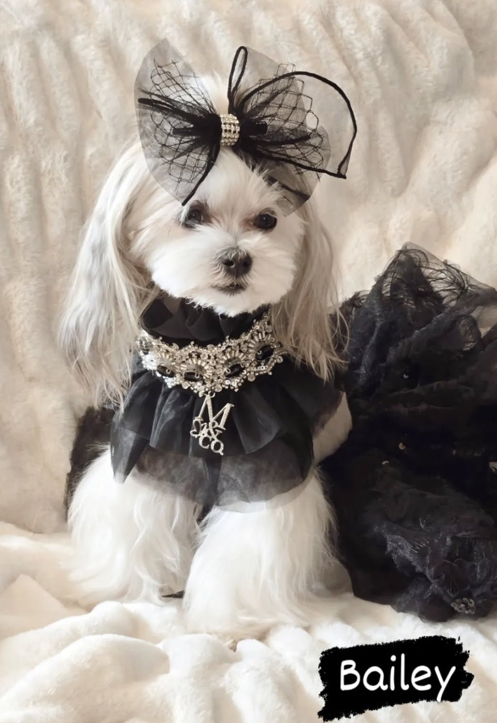 Whimsical Wedding: Imperial