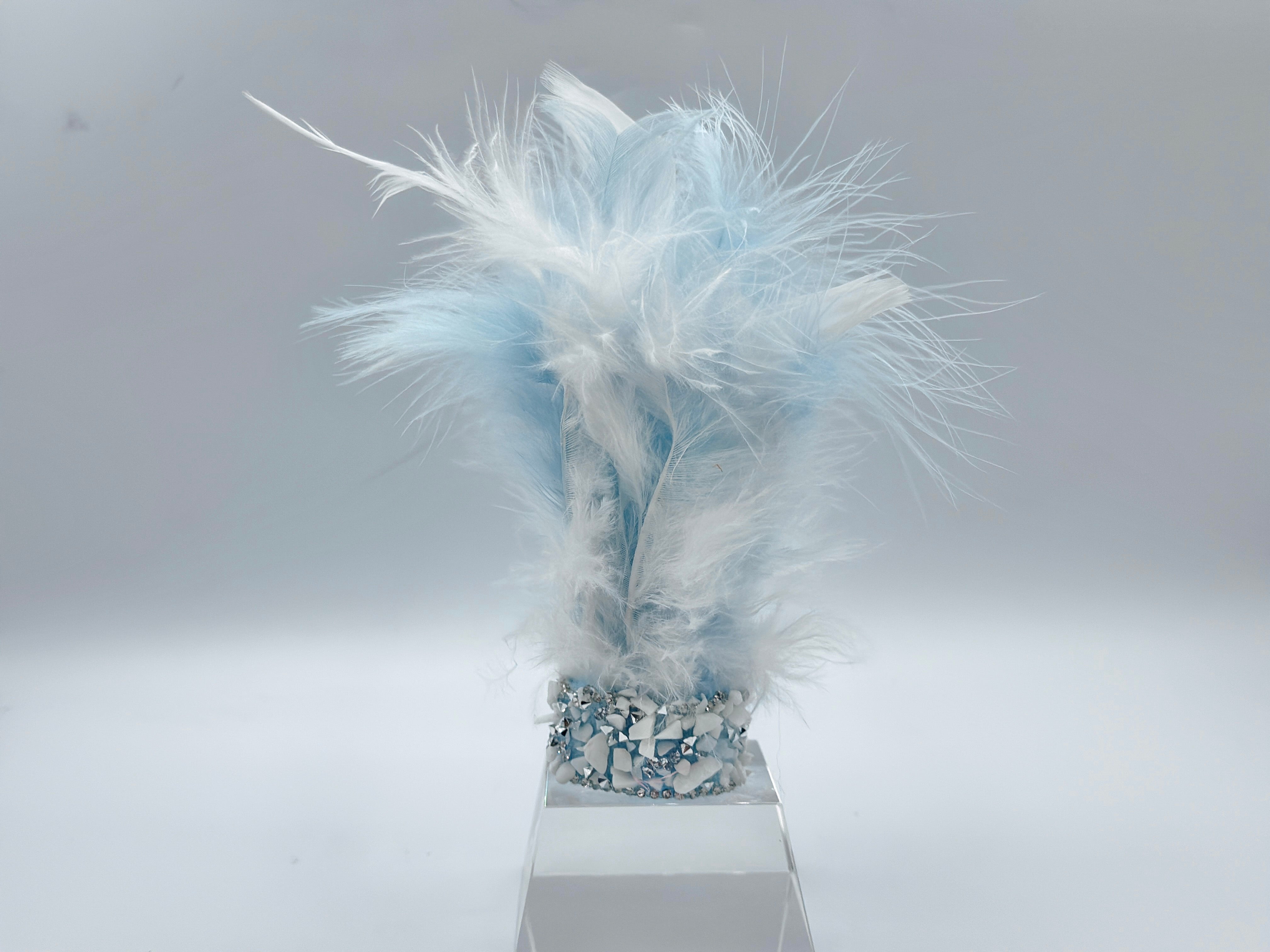 Fairytale Feathers: The Cinderella Crown