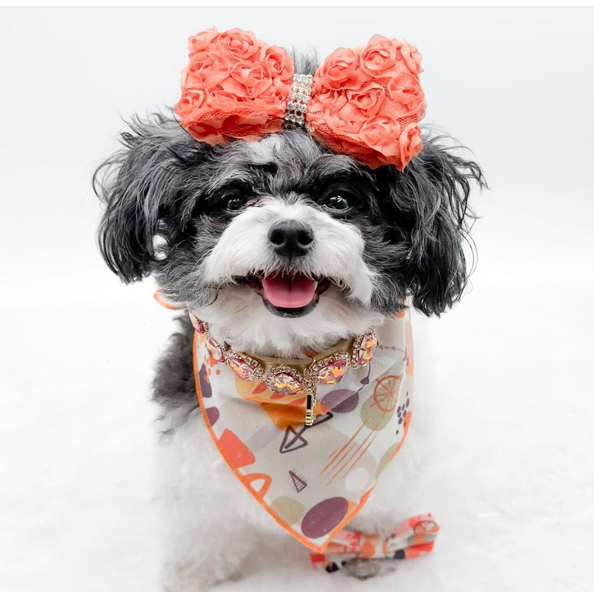 Bandana Set: Spicy