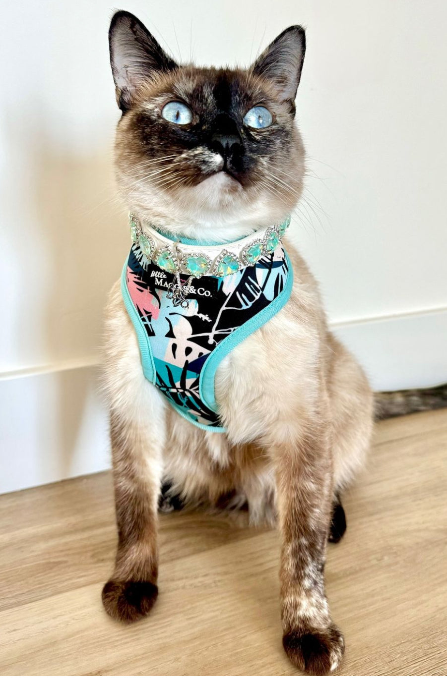 Keep Palm Reversible Harness