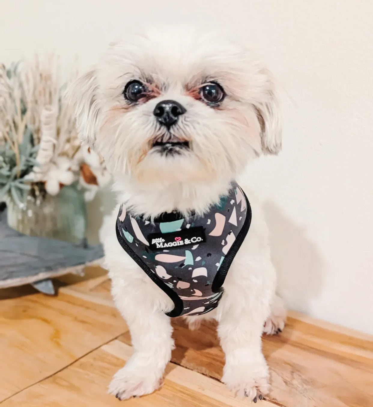 Wiggles Harness