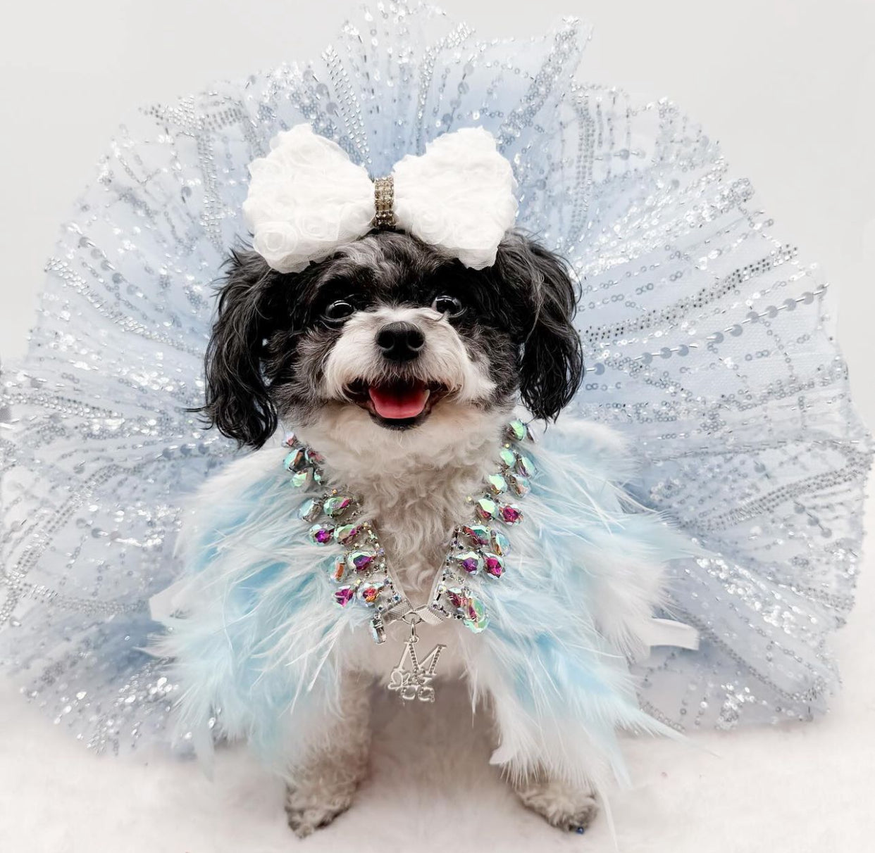 Fairytale Feathers: The Cinderella