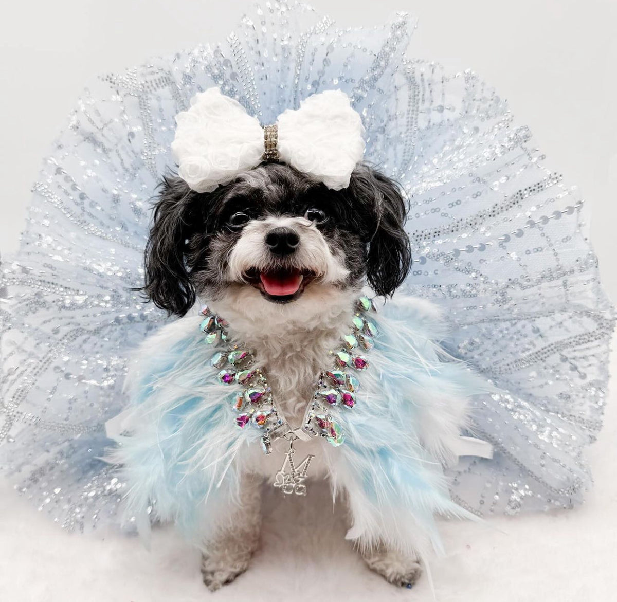 Fairytale Feathers: The Cinderella