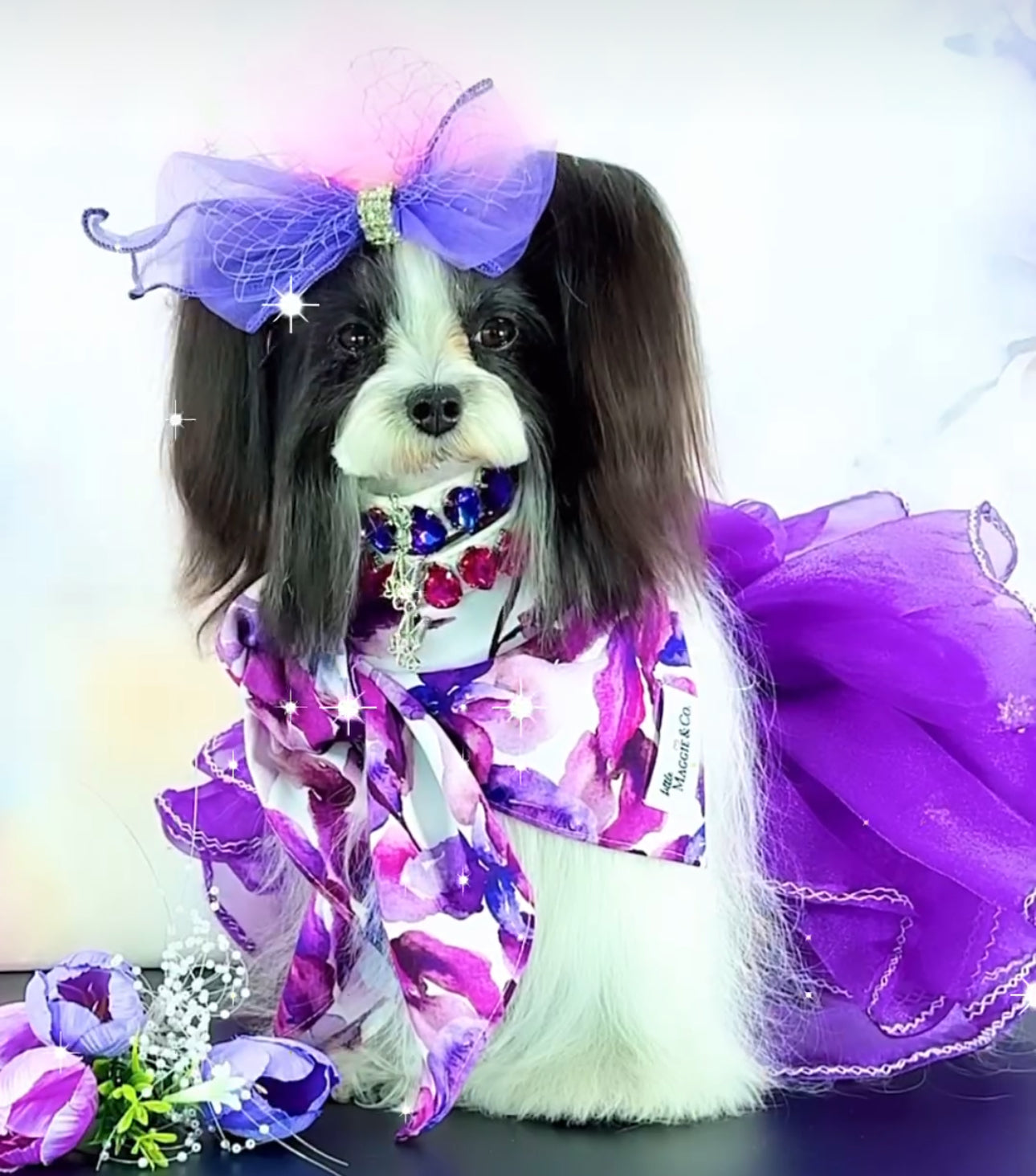 Classics: Fuchsia Blooms