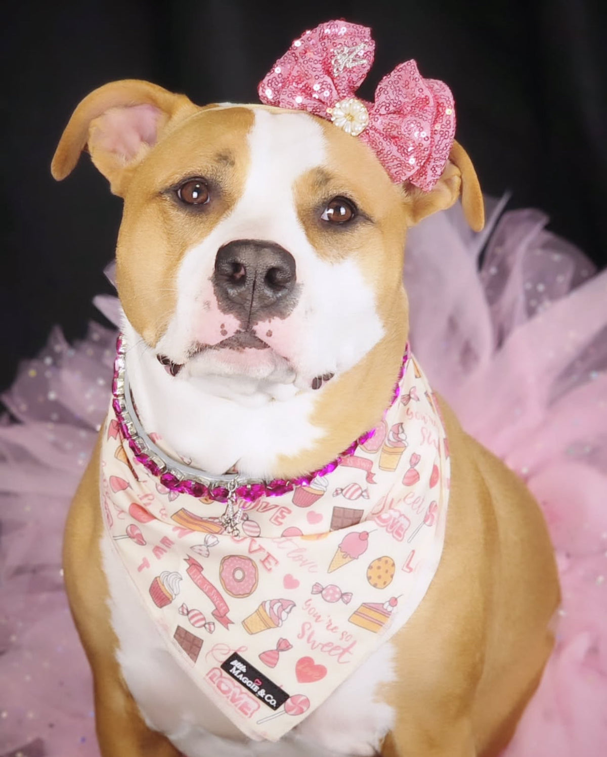 Bandana Set: Sweetie