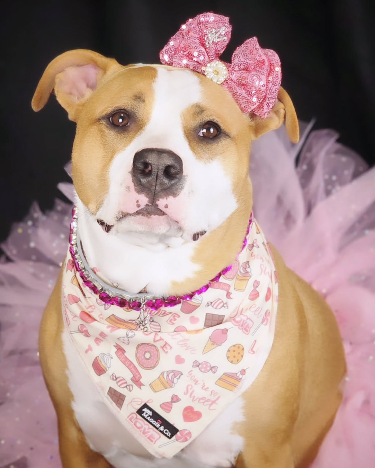 Bandana Set: Sweetie