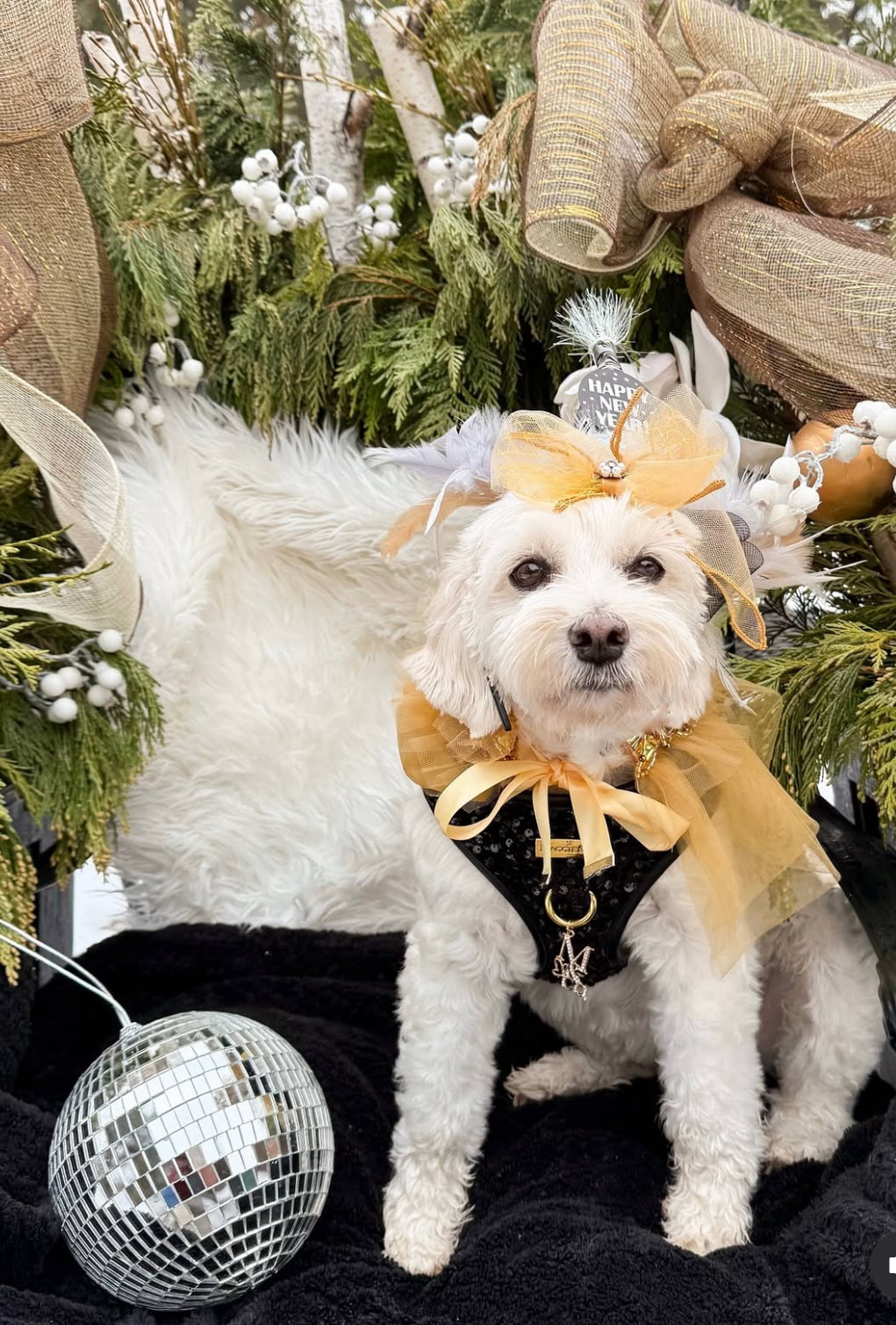 Signature: Golden Era