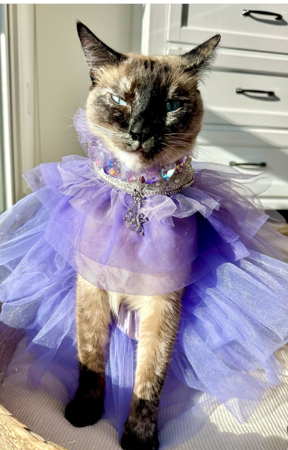 Royal Birthday: La Belle Vie