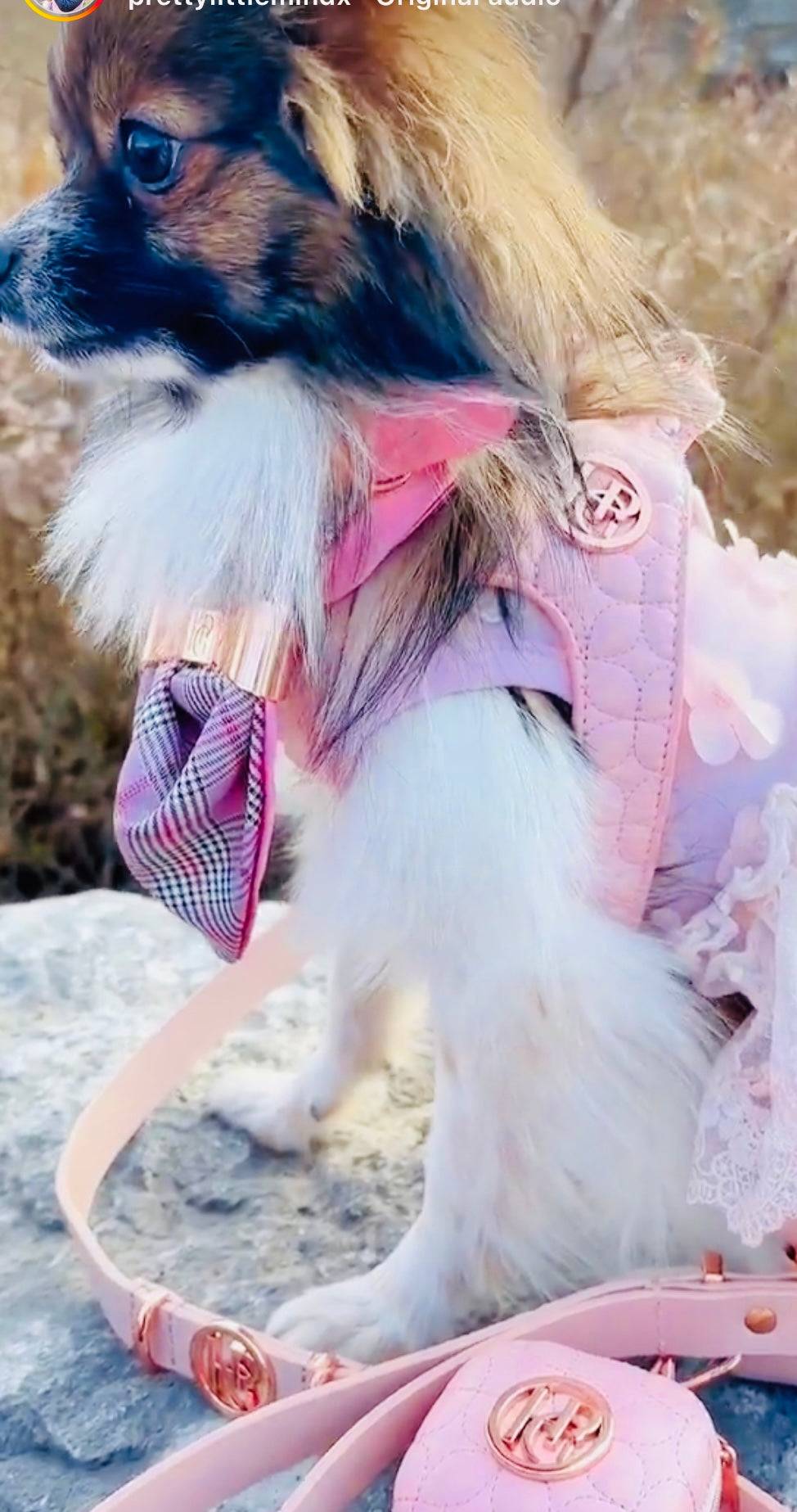 The Novalie Kiss - Step in Dog Harness