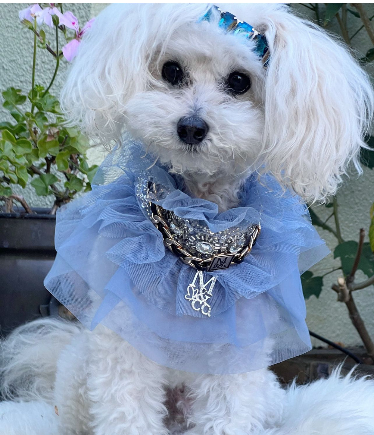 Whimsical Wedding: Frozen