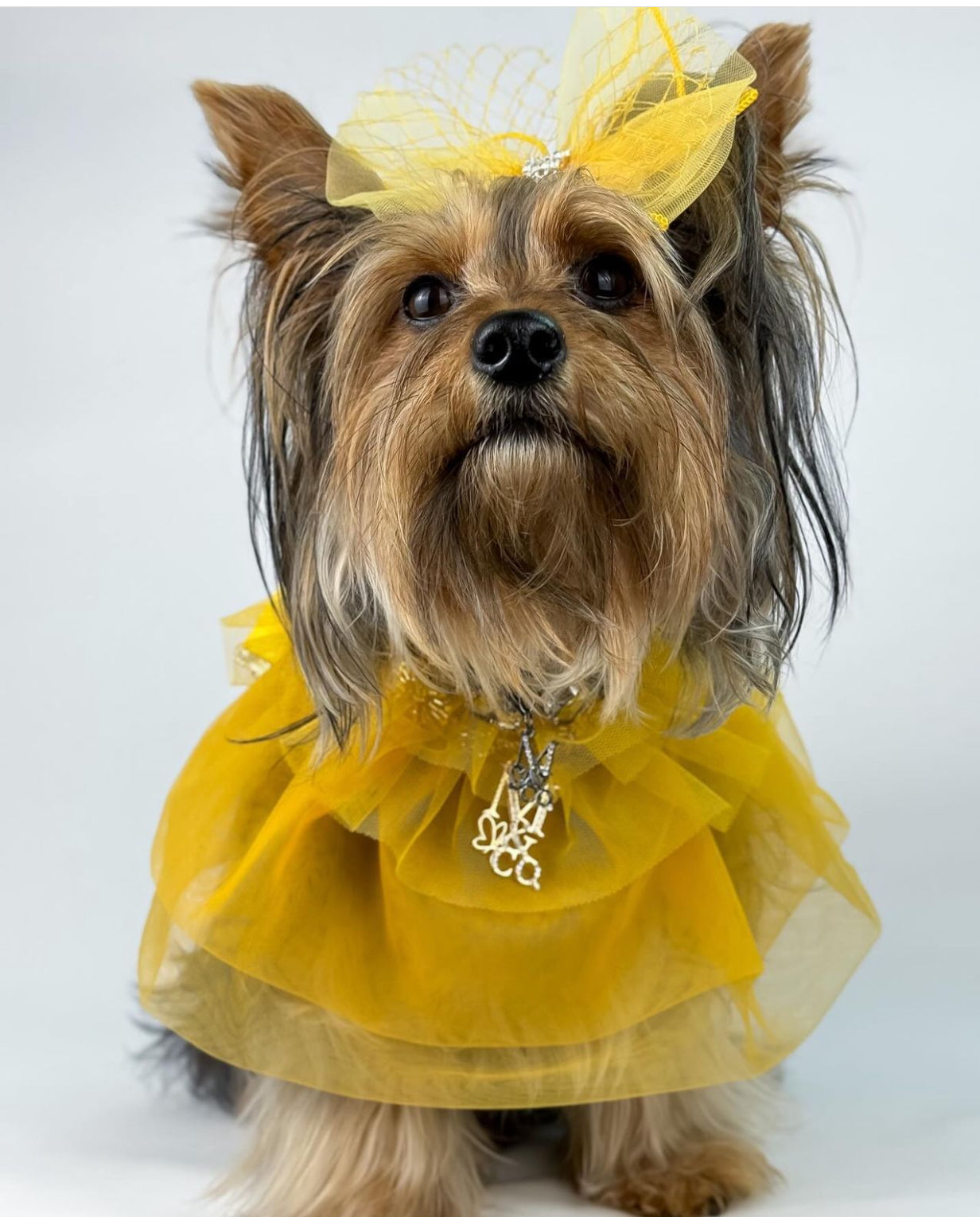 Holiday: All That Glitters Is Gold