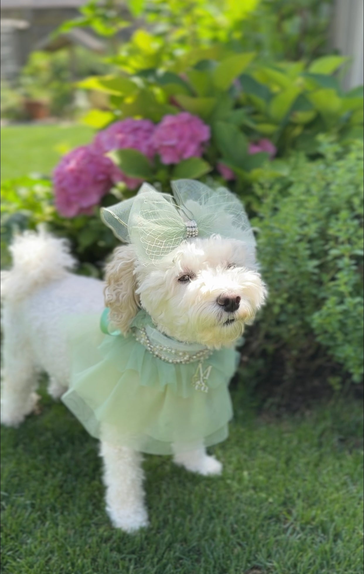 Royal Birthday: Sandringham