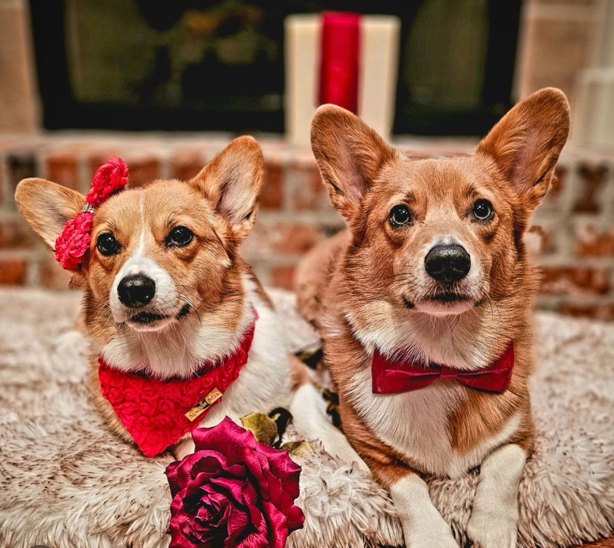 Forever Bliss: Scarlet