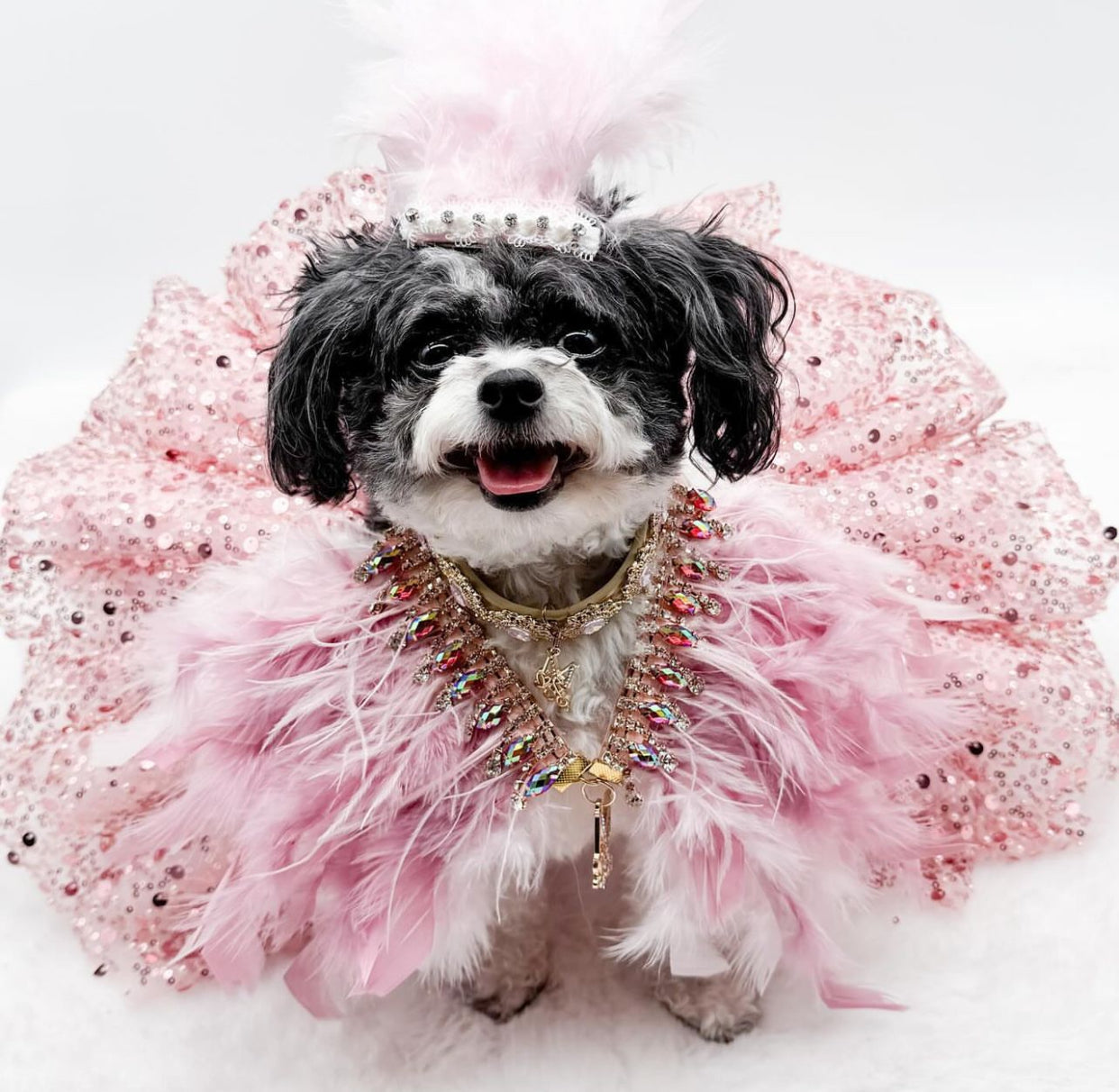 Fairytale Feathers: The Aurora