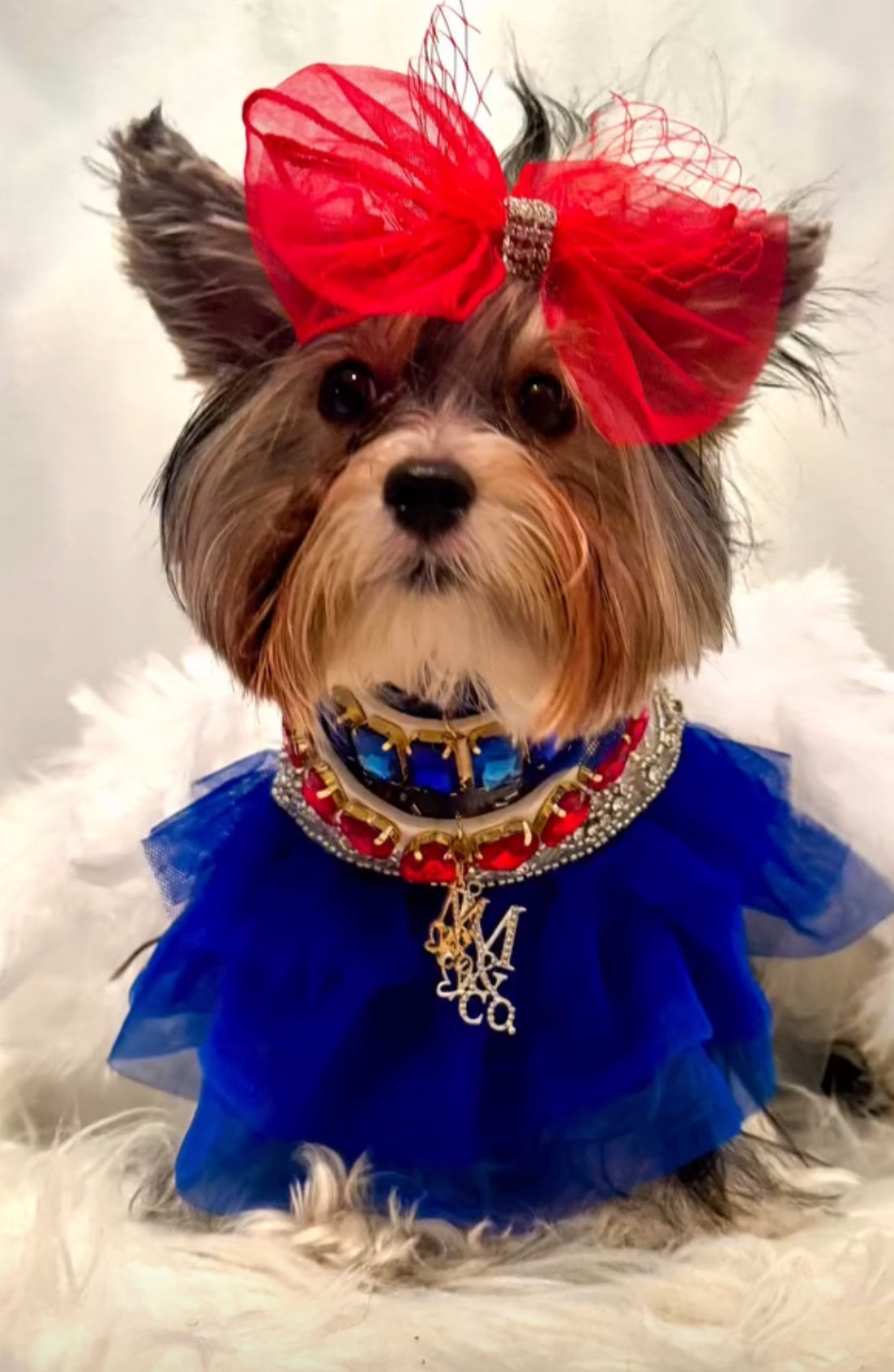 Royal Birthday: Kensington