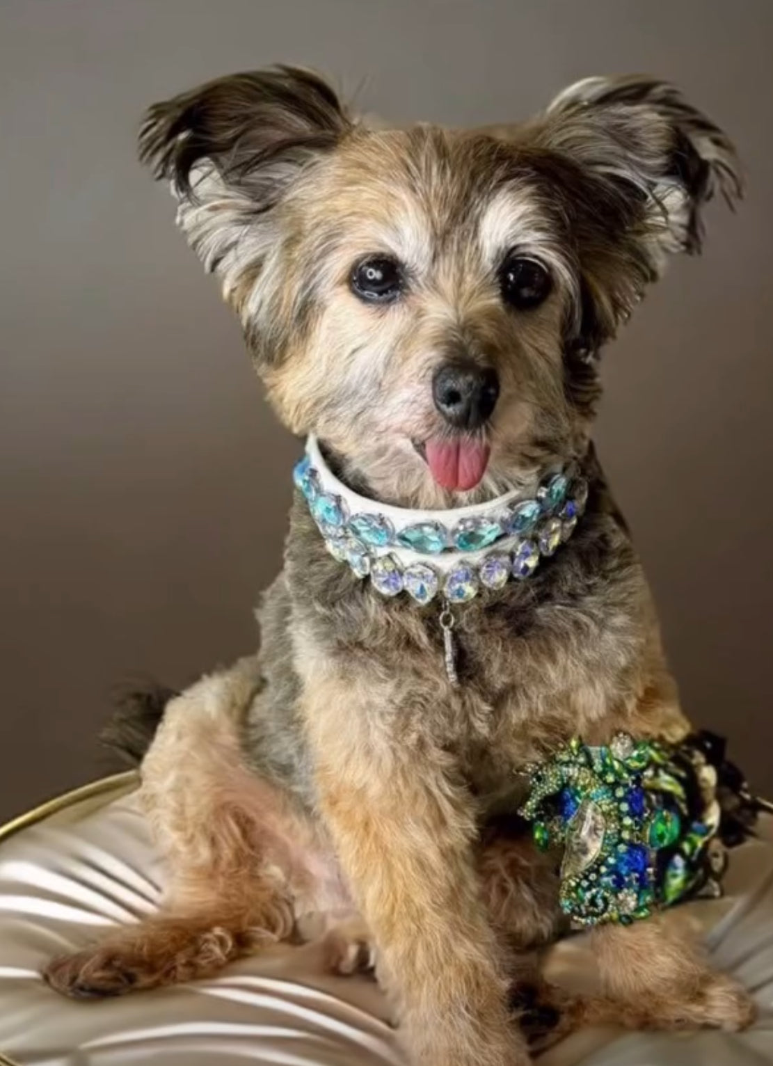 Gem Necklace: Like a Diamond