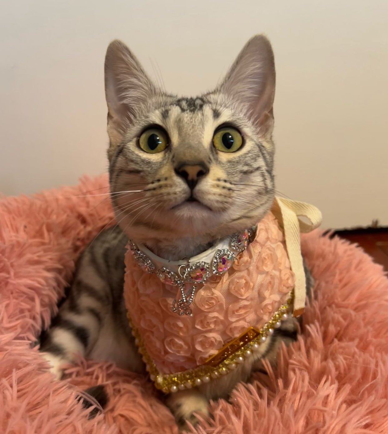 Forever Bliss: Pretty in Pink