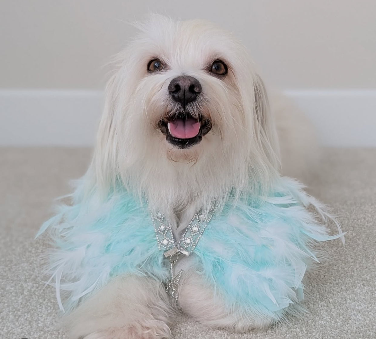 Fairytale Feathers: Prince Charming BB (pre-order)