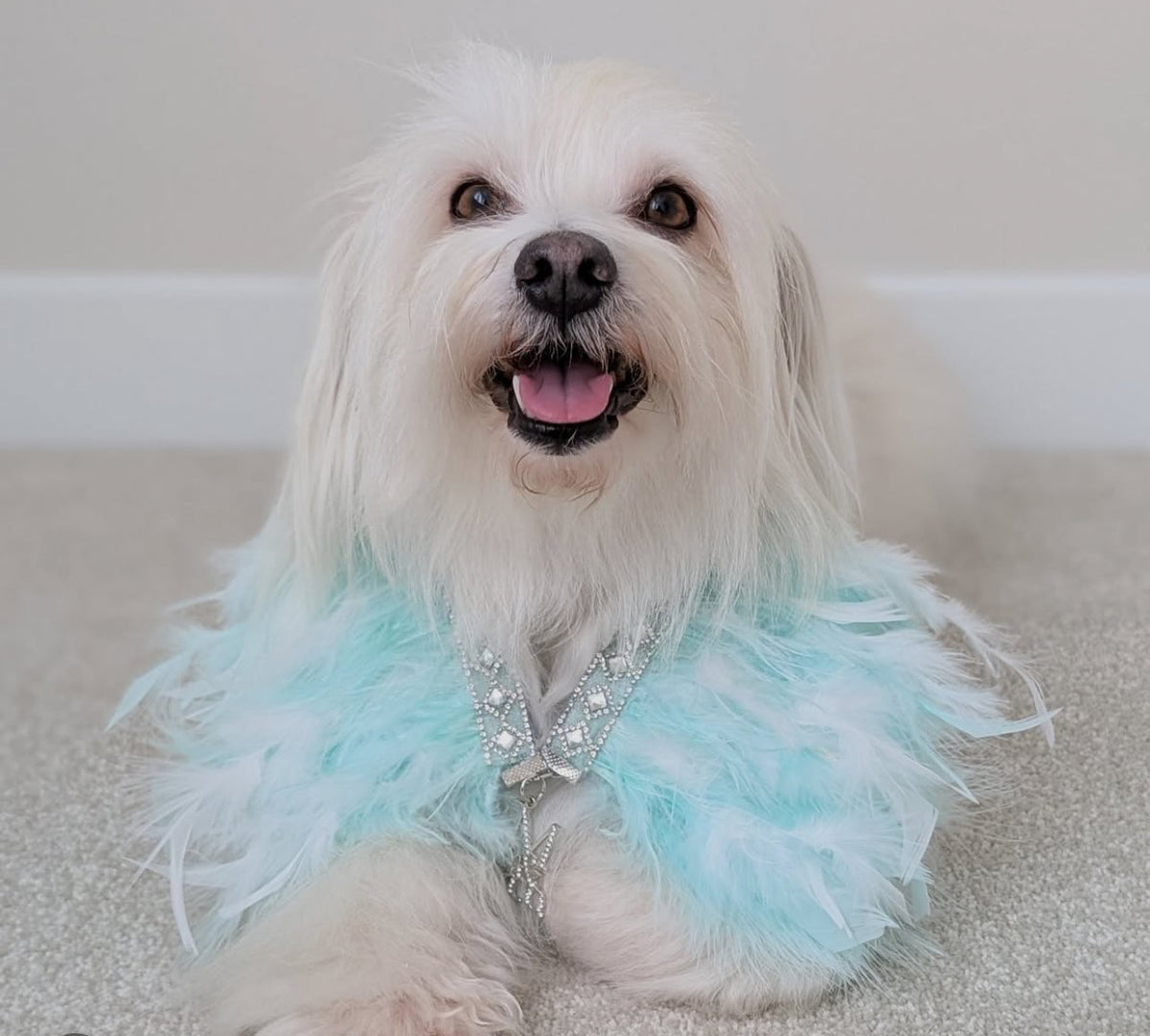 Fairytale Feathers: Prince Charming BB (pre-order)