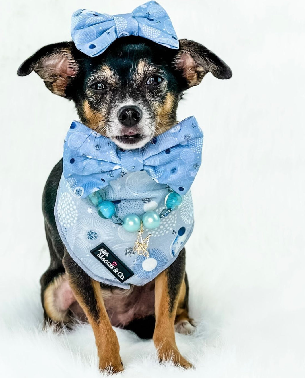 Bandana Set: Magical Dreams